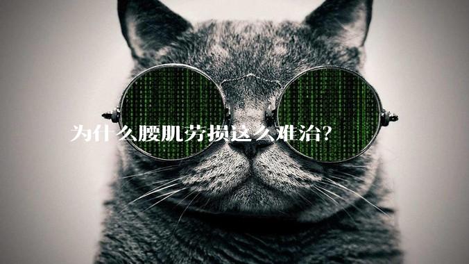 为什么腰肌劳损这么难治？
