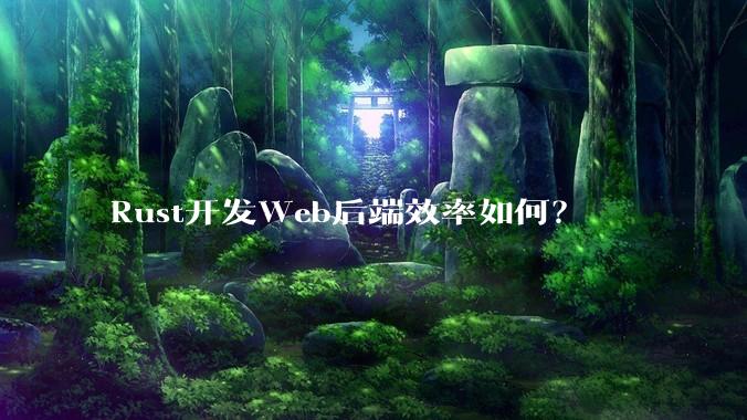 Rust开发Web后端效率如何？