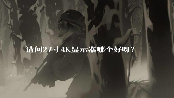 请问27寸4K显示器哪个好呀？