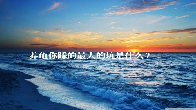 养龟你踩的最大的坑是什么?