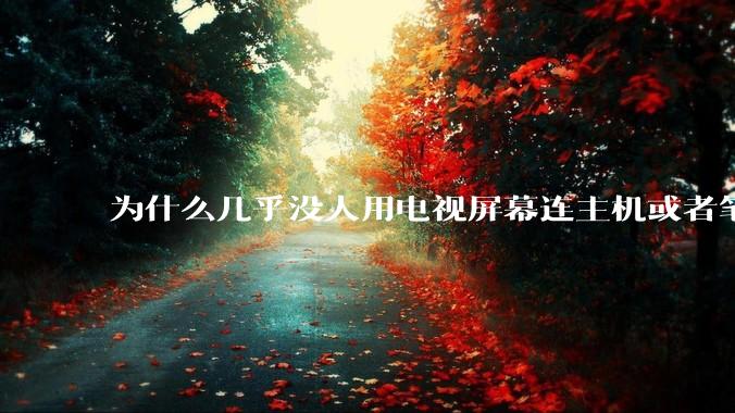 为什么几乎没人用电视屏幕连主机或者笔记本当显示器？