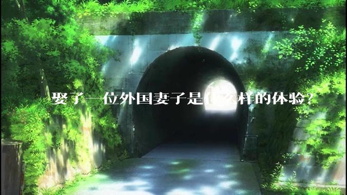 娶了一位外国妻子是什么样的体验？