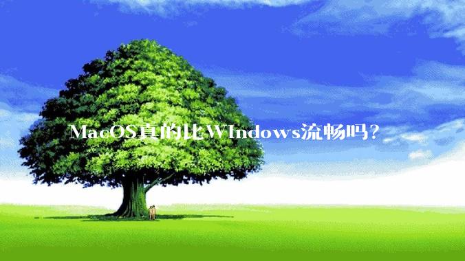 MacOS真的比Windows流畅吗？