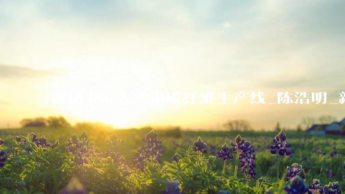 探访48K大丝束碳纤维生产线_陈浩明_新华社_刚需