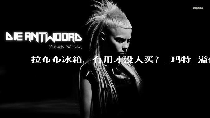 拉布布冰箱，有用才没人买？_玛特_溢价_泡泡