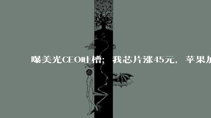 曝美光CEO吐槽：我芯片涨45元，苹果加价250_投资网_内存_价格