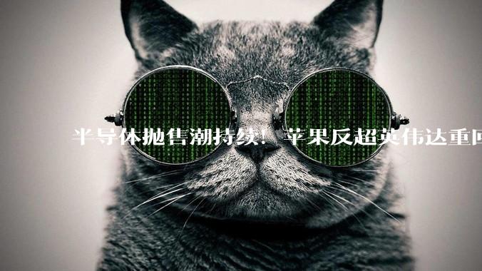 半导体抛售潮持续！苹果反超英伟达重回全球市值第一_资金_市场_芯片