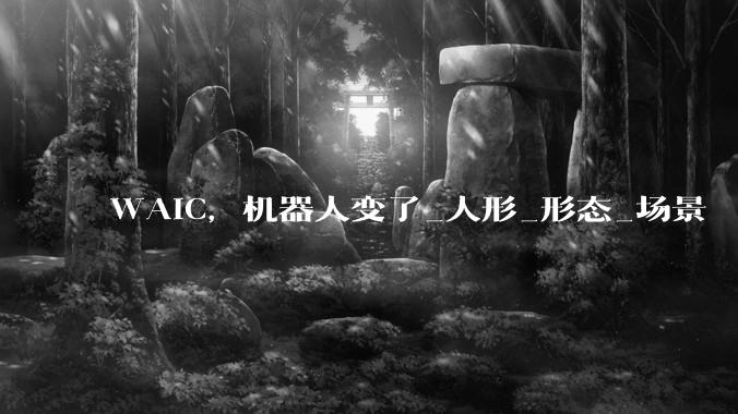 WAIC，机器人变了_人形_形态_场景