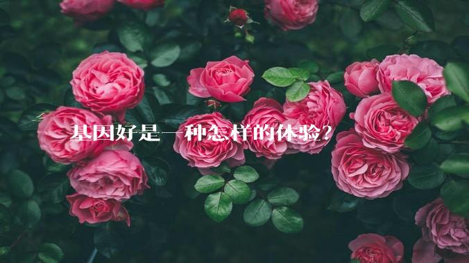 基因好是一种怎样的体验？