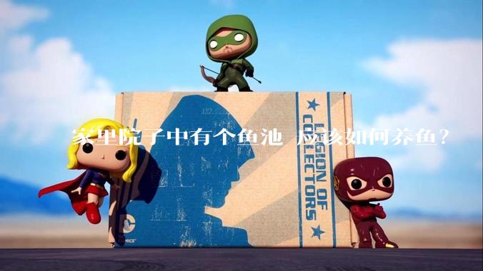 家里院子中有个鱼池 应该如何养鱼？