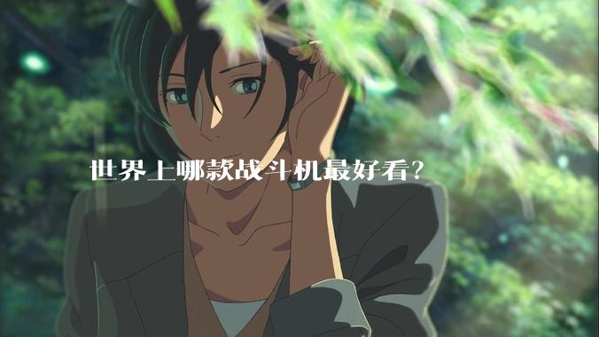 世界上哪款战斗机最好看？