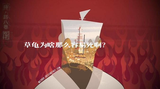 草龟为啥那么容易死啊？