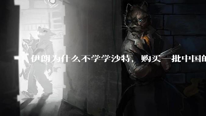 伊朗为什么不学学沙特，购买一批中国的东风导弹，威慑以色列？